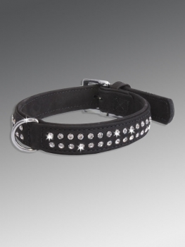 puppy collars DC-12