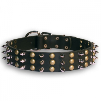 Leather dog collar DC-019